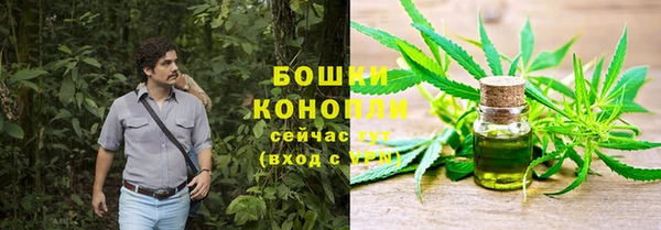 Альфа ПВП Дмитровск