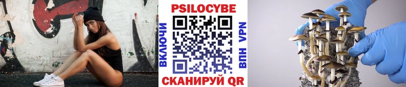 KRAKEN рабочий сайт  Дятьково  Псилоцибиновые грибы Magic Shrooms 